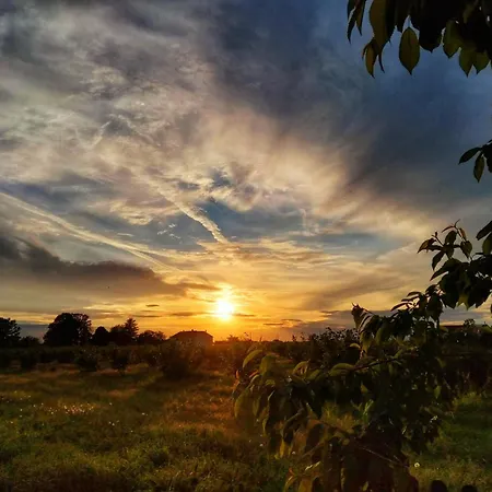 La Fattoria Del Soul Bosco Marengo