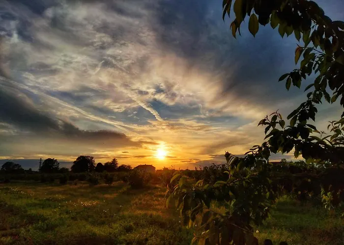 La Fattoria Del Soul Bosco Marengo